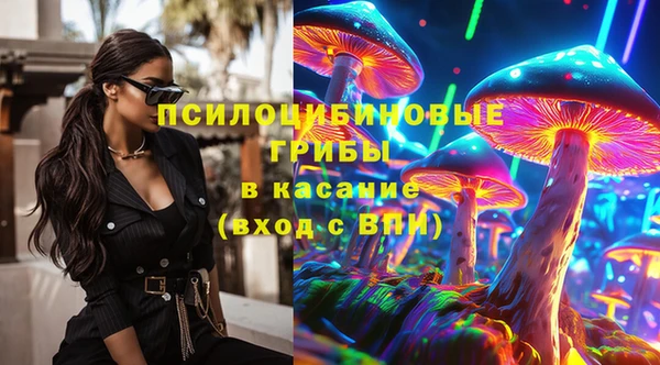 ПСИЛОЦИБИНОВЫЕ ГРИБЫ Беломорск