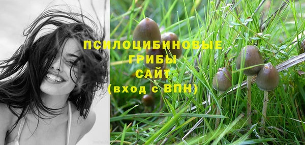 прущая мука Белокуриха