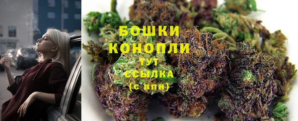 ПСИЛОЦИБИНОВЫЕ ГРИБЫ Беломорск