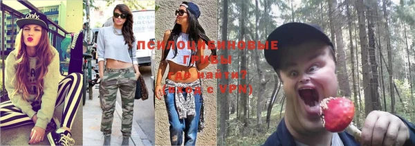 ПСИЛОЦИБИНОВЫЕ ГРИБЫ Беломорск