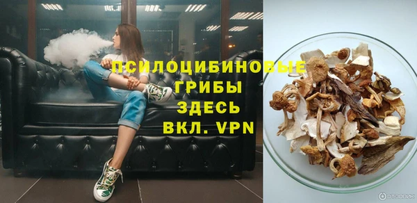 ПСИЛОЦИБИНОВЫЕ ГРИБЫ Беломорск