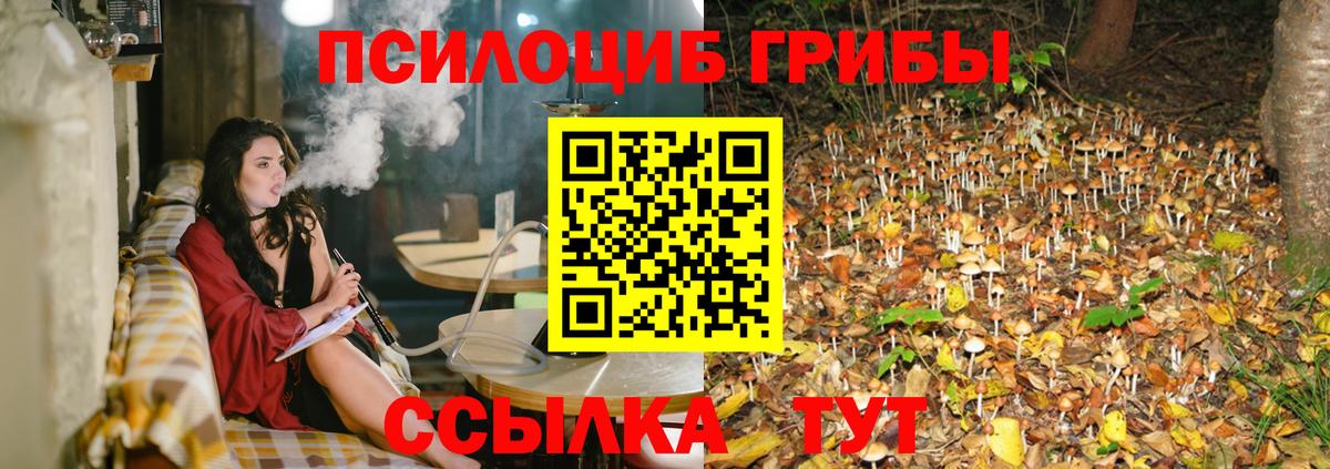 Псилоцибиновые грибы прущие грибы Вязьма